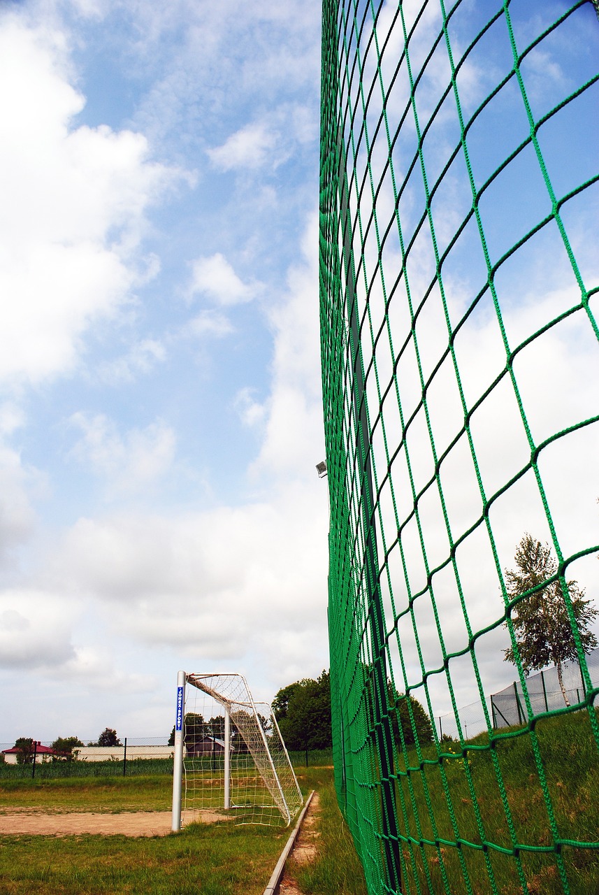 会近年来加 会近年来加