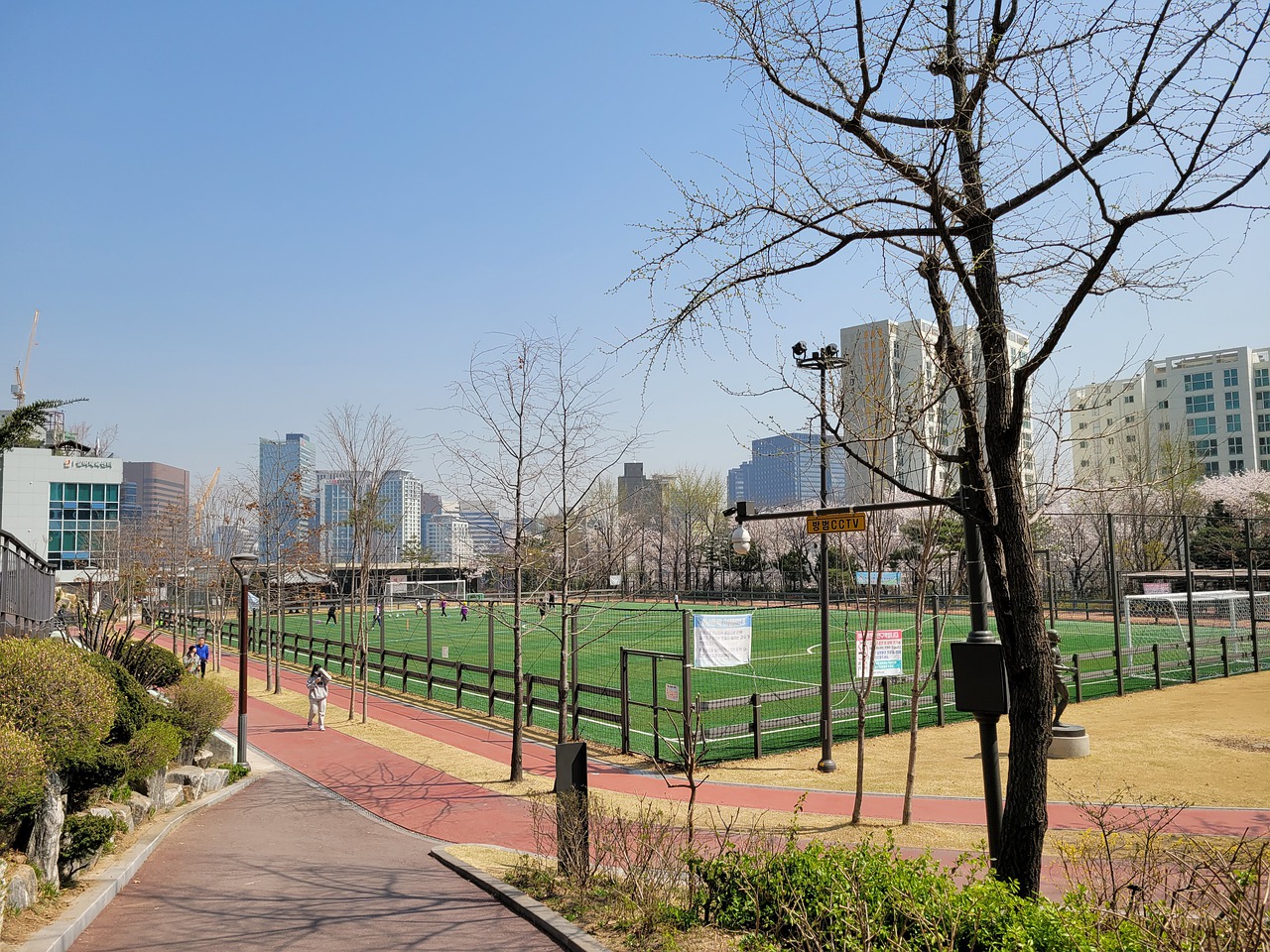 他们可能会 他们可能会