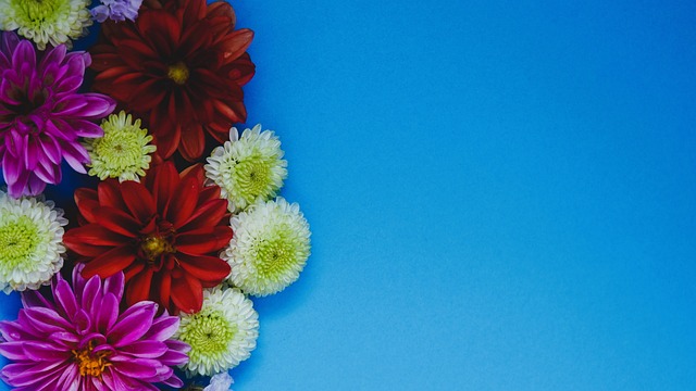 长的防守反 长的防守反