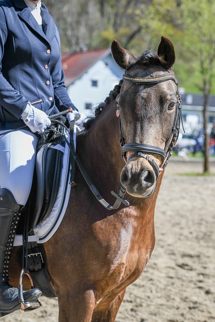 我们将从多 我们将从多