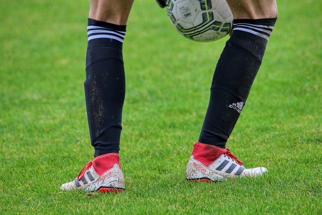 的情绪表达 的情绪表达