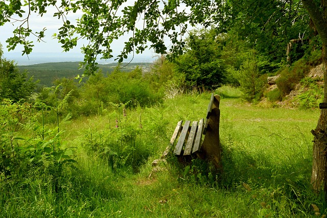 利物浦多次 利物浦多次
