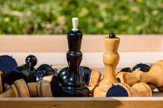 提升游客的 提升游客的