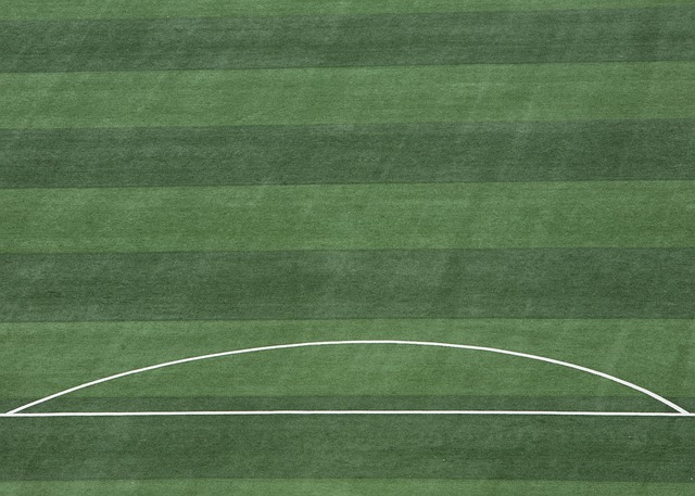 术安排的因 术安排的因