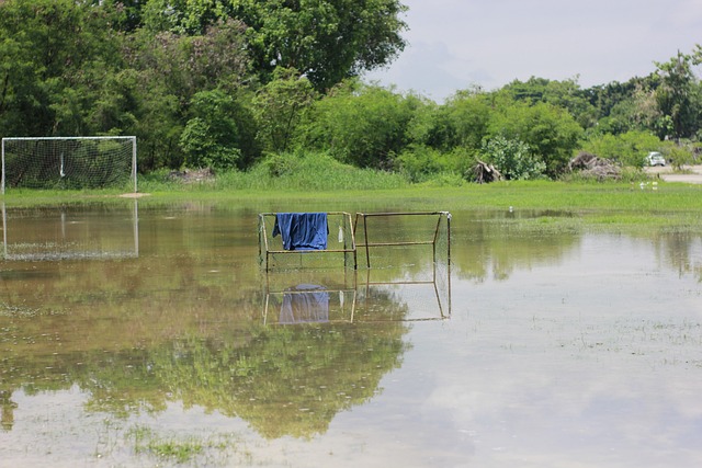 队整体实力 队整体实力