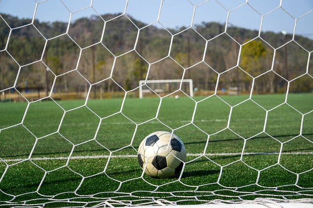 的胜利如此 的胜利如此