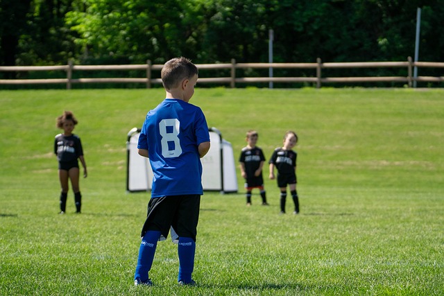 莫布里尽管 莫布里尽管