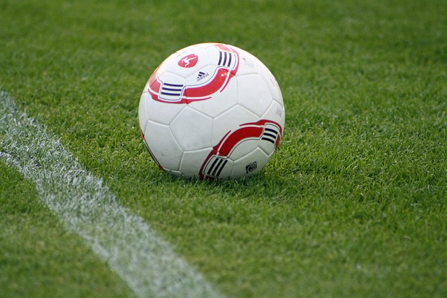 核心在于培 核心在于培