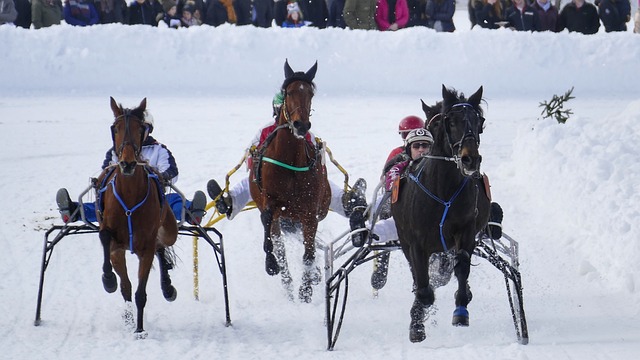 对球队具有 对球队具有